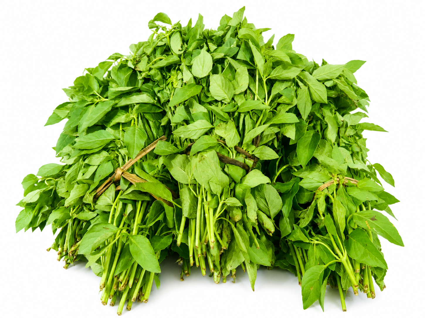 Chabarang Pata